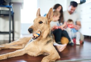 Indoor Air Quality in Marietta, GA